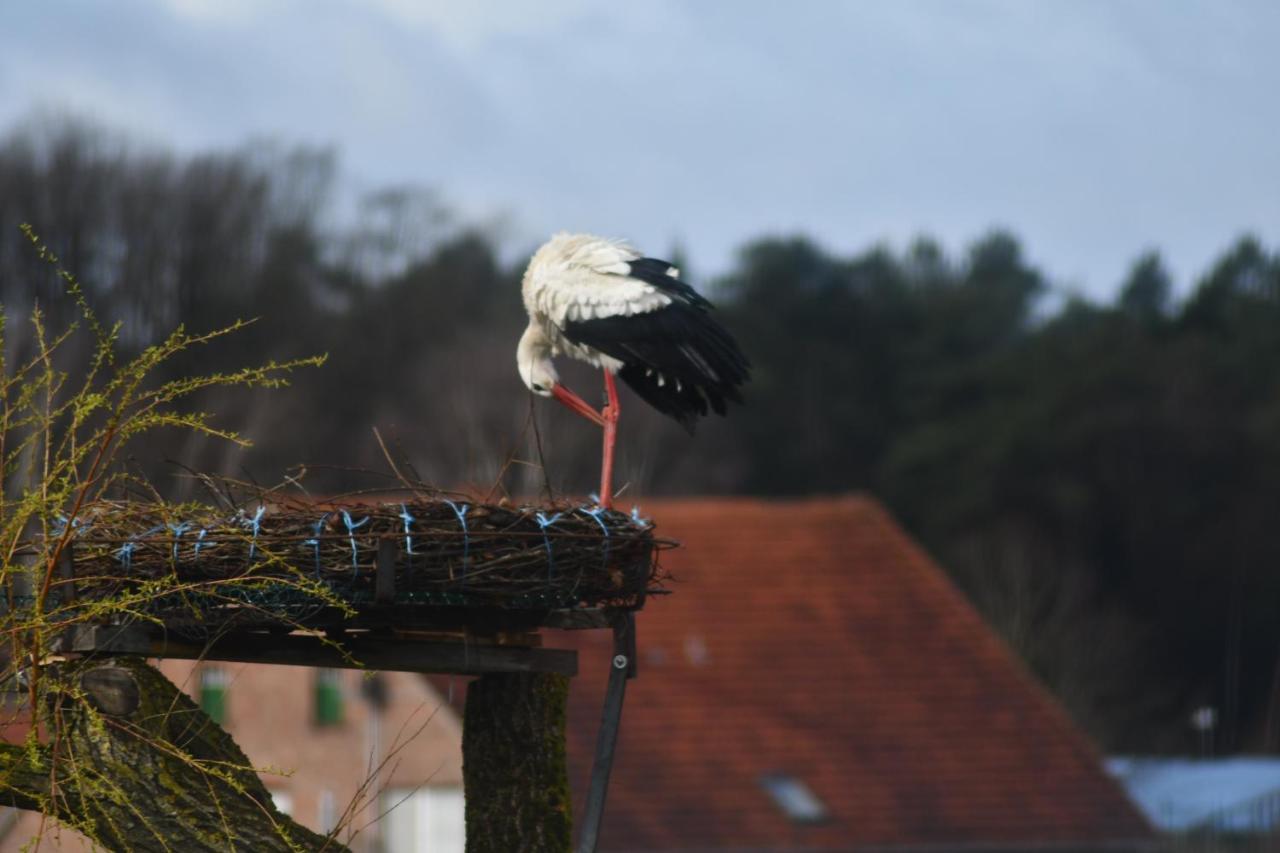 Apartment Storchennest Bad Rothenfelde